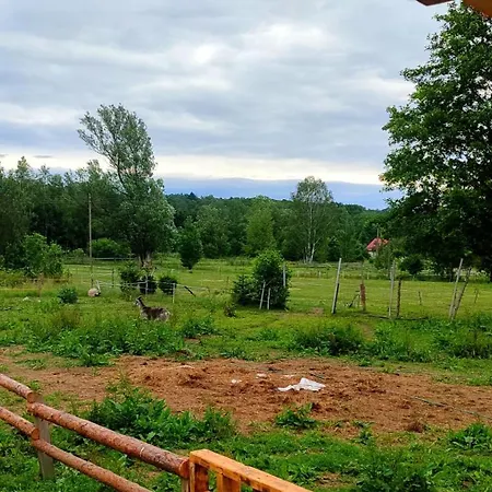 Apartment - Na Wylacznosc, Slow Life, Staw, Oswojone Zwierzeta Gospodarskie, Posilki Z Wlasnych Eko Produktow *