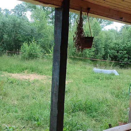 - Na Wylacznosc, Slow Life, Staw, Oswojone Zwierzeta Gospodarskie, Posilki Z Wlasnych Eko Produktow Apartment