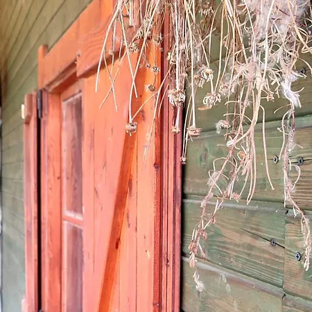 - Na Wylacznosc, Slow Life, Staw, Oswojone Zwierzeta Gospodarskie, Posilki Z Wlasnych Eko Produktow Apartment Lubomierz (Lower Silesia)