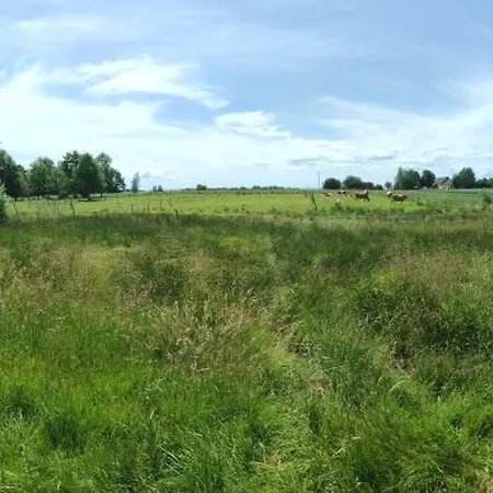 - Na Wylacznosc, Slow Life, Staw, Oswojone Zwierzeta Gospodarskie, Posilki Z Wlasnych Eko Produktow