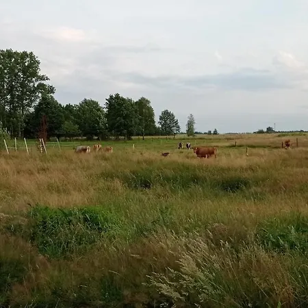- Na Wylacznosc, Slow Life, Staw, Oswojone Zwierzeta Gospodarskie, Posilki Z Wlasnych Eko Produktow Apartment *
