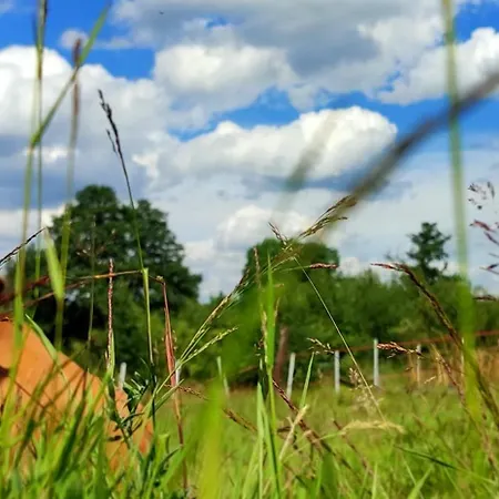 - Na Wylacznosc, Slow Life, Staw, Oswojone Zwierzeta Gospodarskie, Posilki Z Wlasnych Eko Produktow Apartment Lubomierz (Lower Silesia)