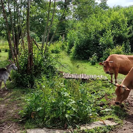 Apartment - Na Wylacznosc, Slow Life, Staw, Oswojone Zwierzeta Gospodarskie, Posilki Z Wlasnych Eko Produktow