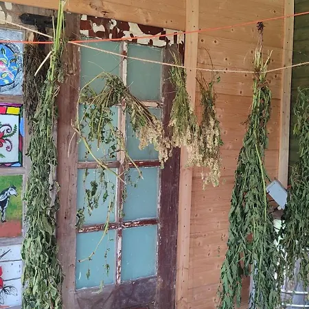 - Na Wylacznosc, Slow Life, Staw, Oswojone Zwierzeta Gospodarskie, Posilki Z Wlasnych Eko Produktow * Lubomierz (Lower Silesia)