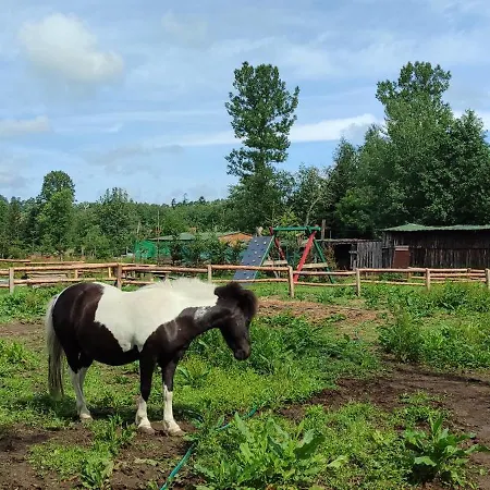 Appartement - Na Wylacznosc, Slow Life, Staw, Oswojone Zwierzeta Gospodarskie, Posilki Z Wlasnych Eko Produktow Lubomierz (Lower Silesia)