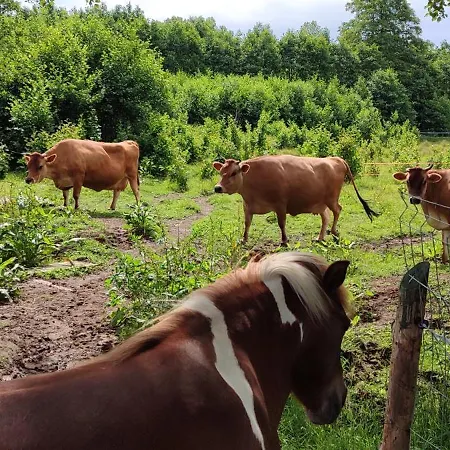 - Na Wylacznosc, Slow Life, Staw, Oswojone Zwierzeta Gospodarskie, Posilki Z Wlasnych Eko Produktow Apartment
