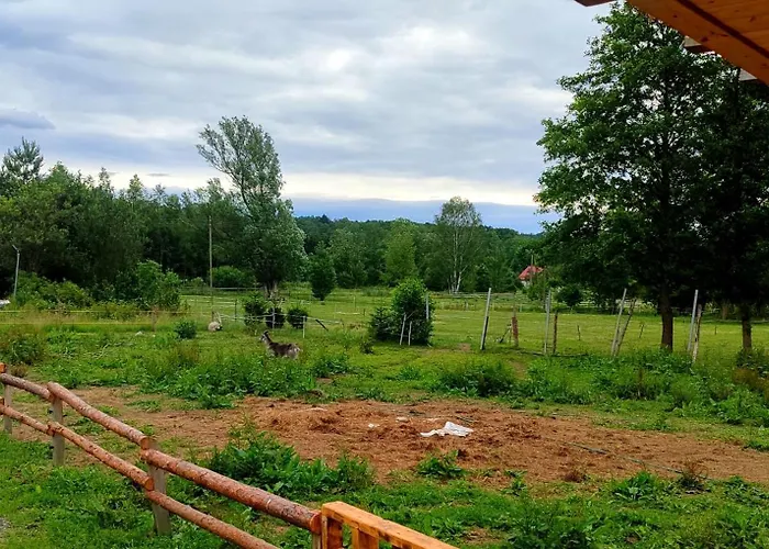 Daire - Na Wylacznosc, Slow Life, Staw, Oswojone Zwierzeta Gospodarskie, Posilki Z Wlasnych Eko Produktow *