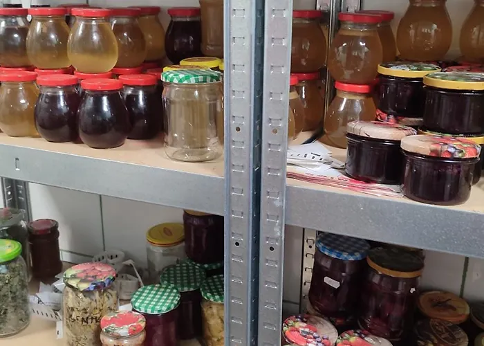 - Na Wylacznosc, Slow Life, Staw, Oswojone Zwierzeta Gospodarskie, Posilki Z Wlasnych Eko Produktow *