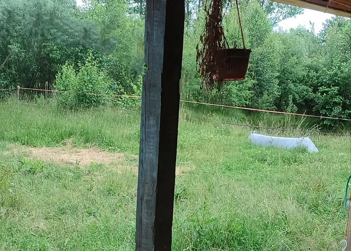 - Na Wylacznosc, Slow Life, Staw, Oswojone Zwierzeta Gospodarskie, Posilki Z Wlasnych Eko Produktow Daire