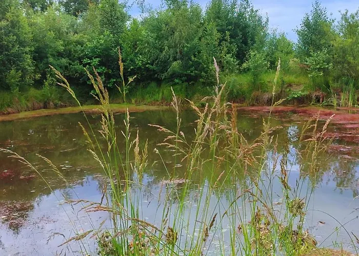 Daire - Na Wylacznosc, Slow Life, Staw, Oswojone Zwierzeta Gospodarskie, Posilki Z Wlasnych Eko Produktow