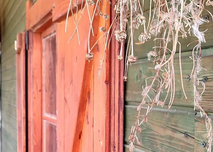 - Na Wylacznosc, Slow Life, Staw, Oswojone Zwierzeta Gospodarskie, Posilki Z Wlasnych Eko Produktow Daire Lubomierz (Lower Silesia)