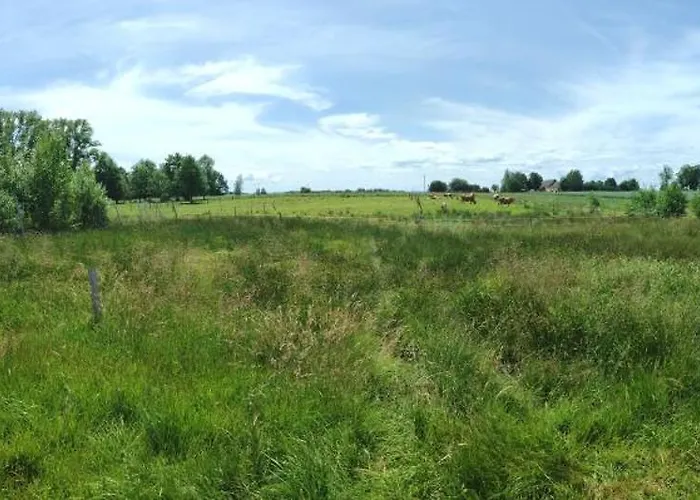 - Na Wylacznosc, Slow Life, Staw, Oswojone Zwierzeta Gospodarskie, Posilki Z Wlasnych Eko Produktow