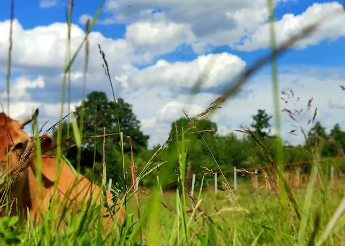 - Na Wylacznosc, Slow Life, Staw, Oswojone Zwierzeta Gospodarskie, Posilki Z Wlasnych Eko Produktow Daire Lubomierz (Lower Silesia)