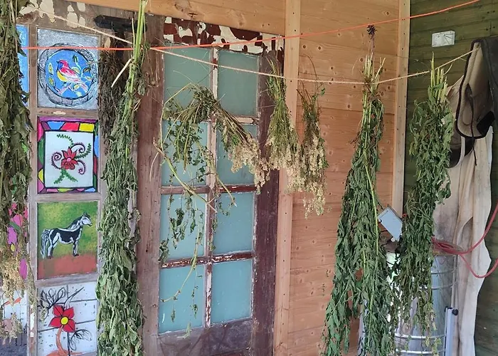 - Na Wylacznosc, Slow Life, Staw, Oswojone Zwierzeta Gospodarskie, Posilki Z Wlasnych Eko Produktow * Lubomierz (Lower Silesia)