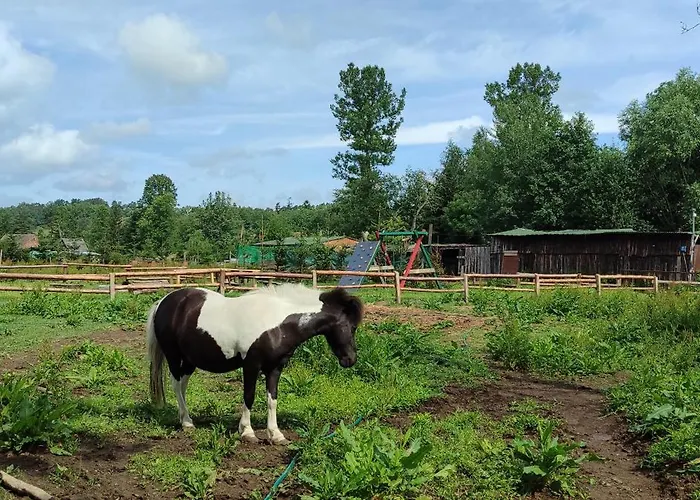 Daire - Na Wylacznosc, Slow Life, Staw, Oswojone Zwierzeta Gospodarskie, Posilki Z Wlasnych Eko Produktow Lubomierz (Lower Silesia)